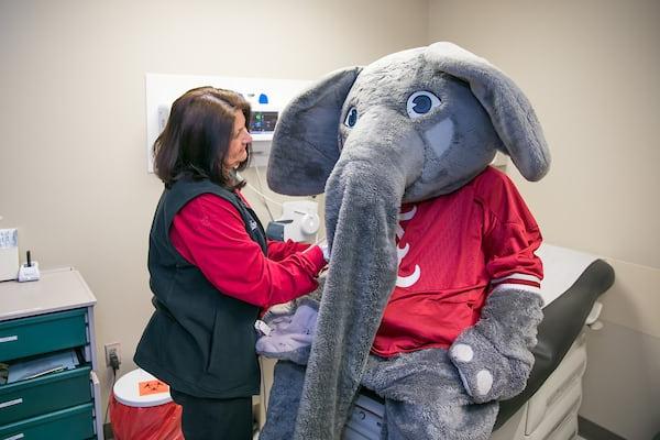 Big Al gets a checkup from a physician at the student health center.